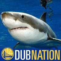 Lgw Sharks's profile image