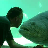 Craig Wachs's profile image