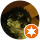 Chaz Johnson avatar