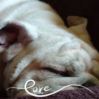Michelle Mauck's profile image