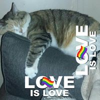 Sharon Walker's profile image
