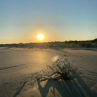 Deanna Fairbourne's profile image