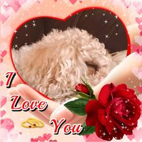 Michele Plummer's profile image