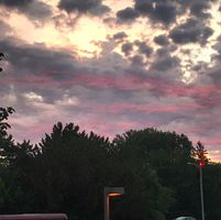 Paula Cherney's profile image