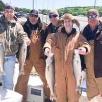 Frank Smith's profile image