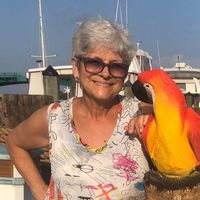 Alex Campo Tilford's profile image