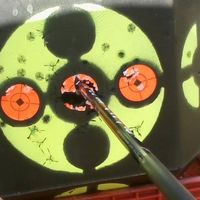 Nona Petre's profile image