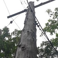 Pete Petersen's profile image