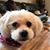 June Peters Gregg's profile image