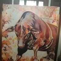 David Thornhill's profile image