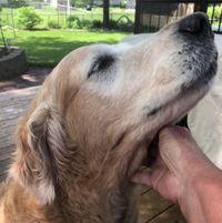 Linda Lapour's profile image