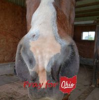 Kathy McBride-Poulos's profile image