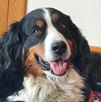 Candy Fisher Youngen's profile image