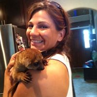 Mara Nowak's profile image