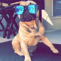 Chris Manning's profile image