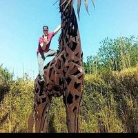 Chase Draper's profile image