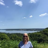Shelley Lewis's profile image