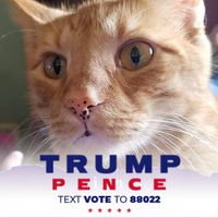 Melanie Nolan's profile image