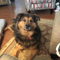 Kimberly Moore Garland's profile image