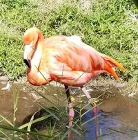 David Sanders's profile image