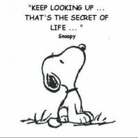 Brenda Bourland's profile image