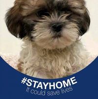 Diane Shelabarger Coggins's profile image