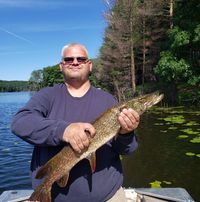 David Goodman's profile image