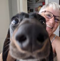 Deb Schneider's profile image
