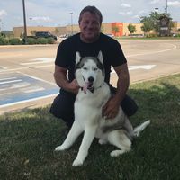 Paul Heidewald's profile image