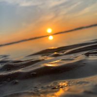 Deborah Jones-Newcomer's profile image