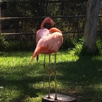 Teri Kerley's profile image