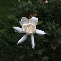 Karla Marie's profile image