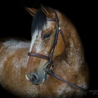 Margaret Robb's profile image