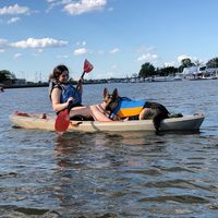Liz Desepoli's profile image