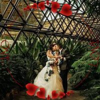 Sasha Oza's profile image