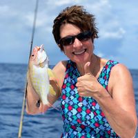 Lisa Riegel's profile image