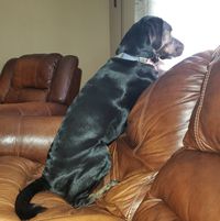 Connie Barrett Neagle's profile image