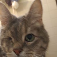 Dawn Millz's profile image