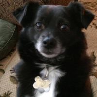 Eddie Pater's profile image