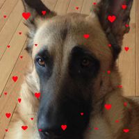 Priscilla Hardesty's profile image