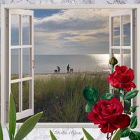 Kay Dinkle's profile image