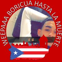 Torres  Wesley's profile image