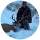 Gregg Seaford avatar