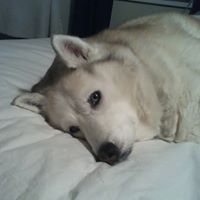 Mary Ann Allen's profile image