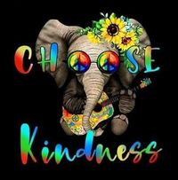 Lisa McClure's profile image