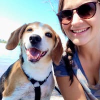 Nicole D’Amico's profile image