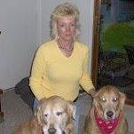 Shelley Redloske Mitchell's profile image
