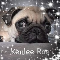 Lisa Long Butts's profile image