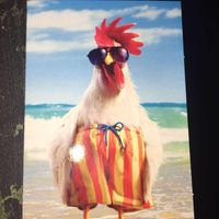 Maggie Ann Kendrick Monroe's profile image