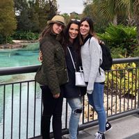 Rosanna Pirraglia's profile image